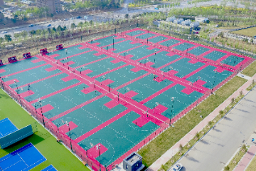 案例分享|东北大学
